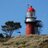 ECVlieland's profile image