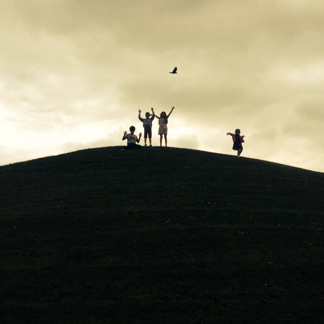 EdBannard's profile picture. mumbles