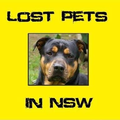 Lost Pets In NSW is an Australian page to help reunite Lost Pets with their owners.