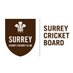 SurreyCCC Disability (@disabilitysccc) Twitter profile photo