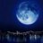 bluemoon255