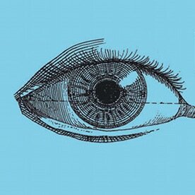 Lifetimefilms's profile picture. contententwicklung, social media beratung