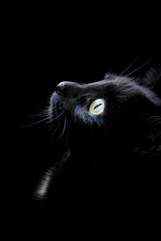 hamaChuu0218's profile picture. 大阪芸大 音楽・音響デザイン 卒

不動産系 イベントホール