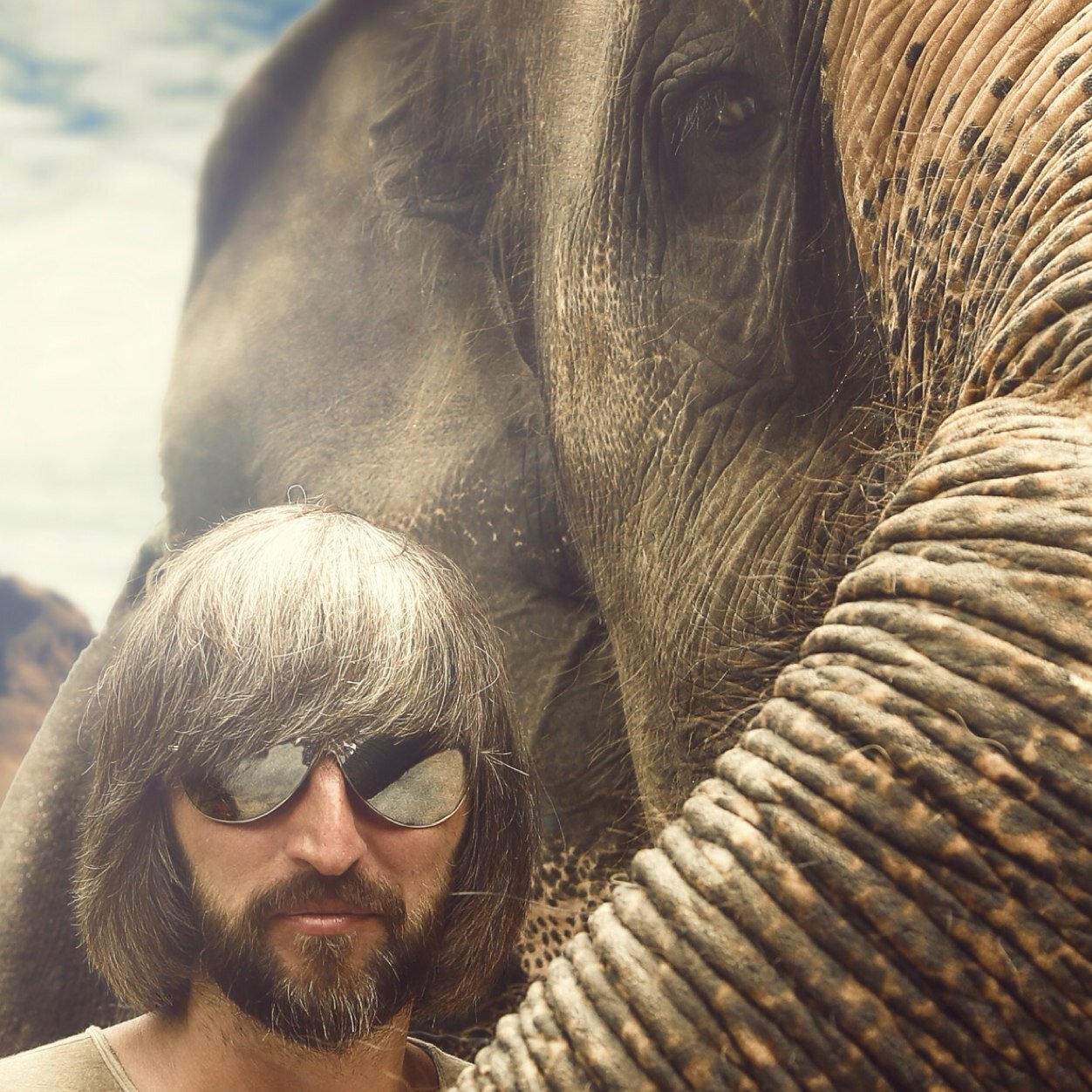 Slava_Shark's profile picture. https://t.co/oUljtKPZkS