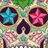 xchipchapx's profile image