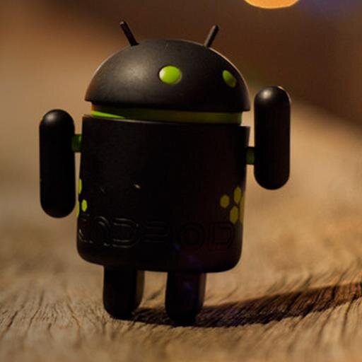 LearningPlanets's profile picture. Android & iPhone development training institute