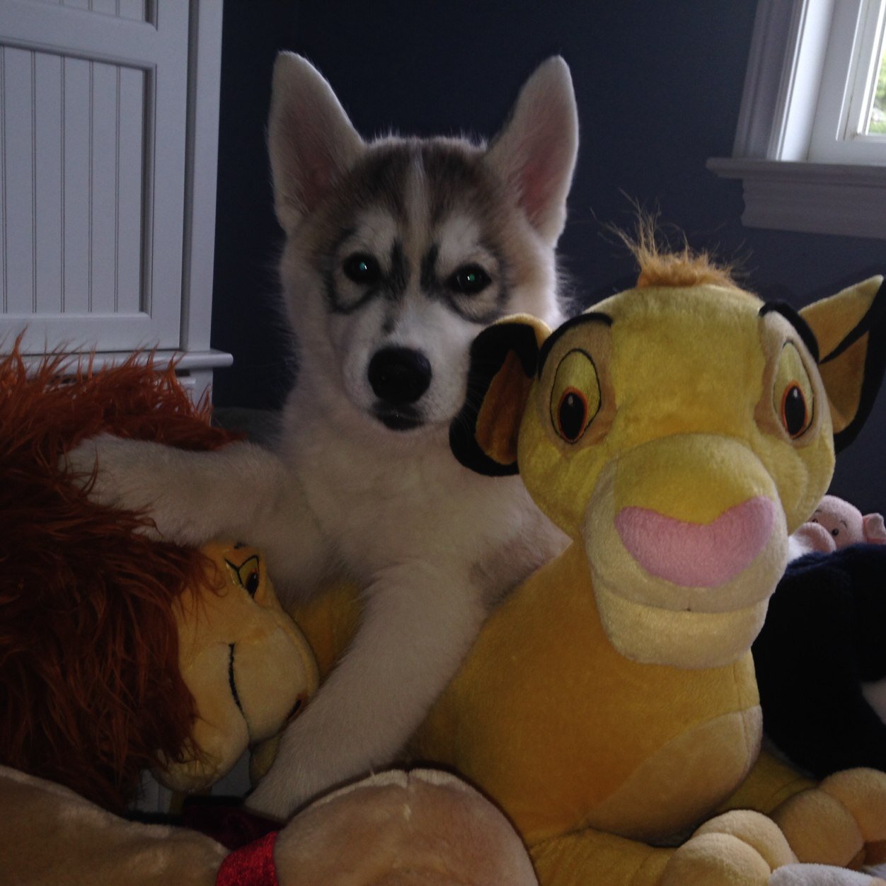 mommysaysso's profile picture. Gymnastics coach. Mom & wife. Loving life, family, friends. Working every day to make life better for my monkeys.