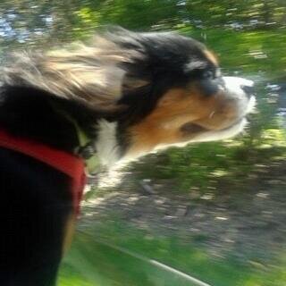 _QueenKhaleesi's profile picture. Quiche