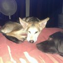 Chris Broadfoot - @broadfoot_chris - Twitter