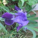 Wendy Kenny - @WendyKenny1 - Twitter