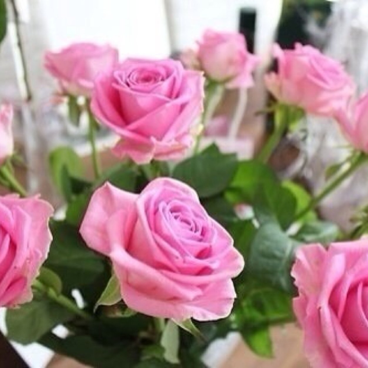 ameerah1426's profile picture. 