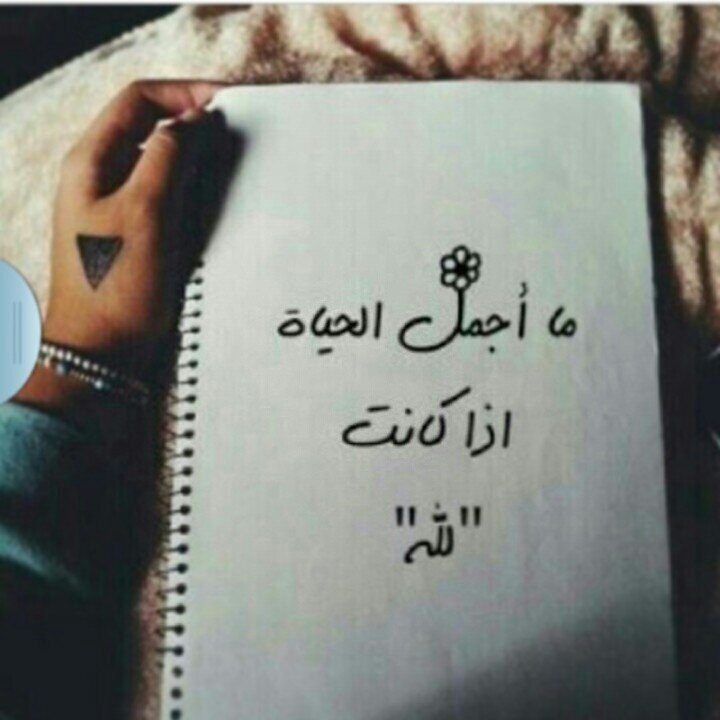 متخرج الا 4 ايام                                                   راعي نوم درجه اولى