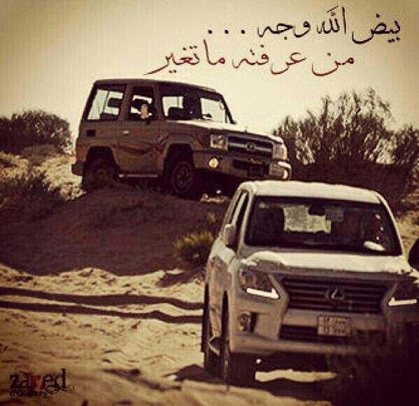 homrzzz's profile picture. 