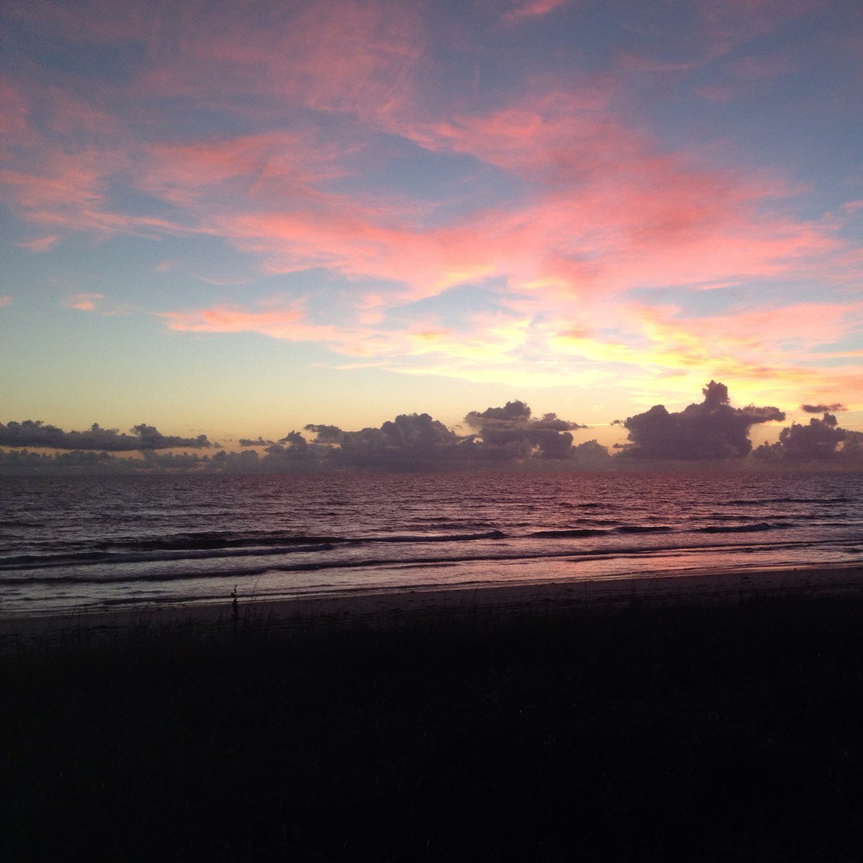 Kat42N's profile picture. 