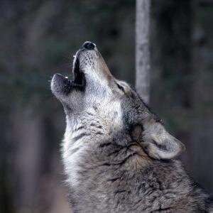 MarianneKastern's profile picture. Ex-(Buch)Bloggerin (zumindest für's erste :( )