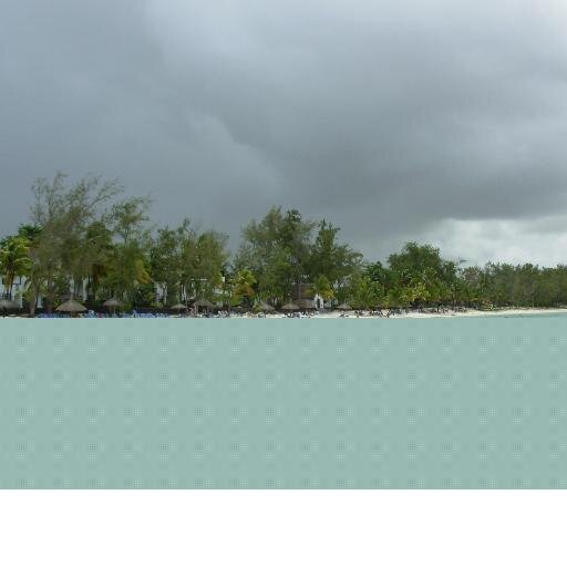 serenel70482372's profile picture. congomum