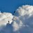 SULTAN910's profile image