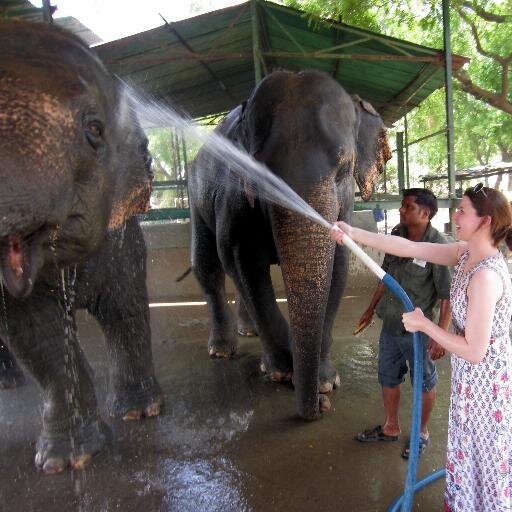 monsoonerton's profile picture. Things I Love:  food, swimming, animals, traveling, safaris, the ocean, & snow