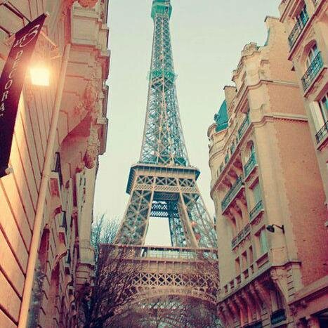 elthailland's profile picture. 