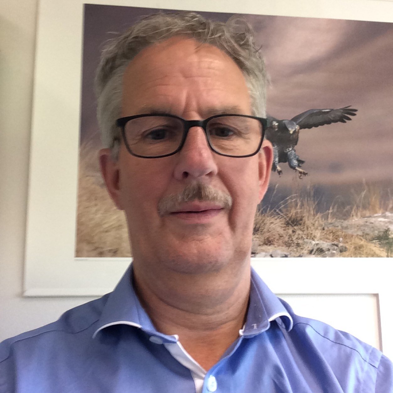 Wout van den Brink