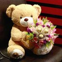 Hema joshi - @joshihema94 - Twitter