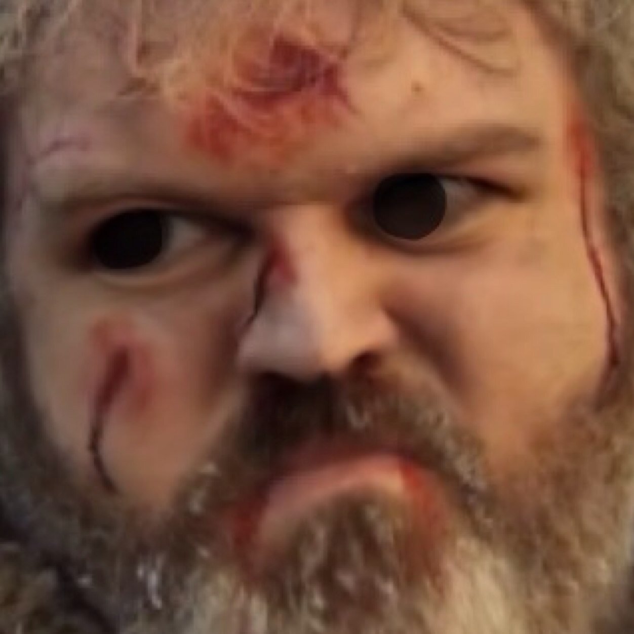 Hodor [trad: me encargo del poni de Bran y sólo sé decir “Hodor”]