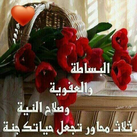 gafl1234545's profile picture. قرية القعساء--حائل