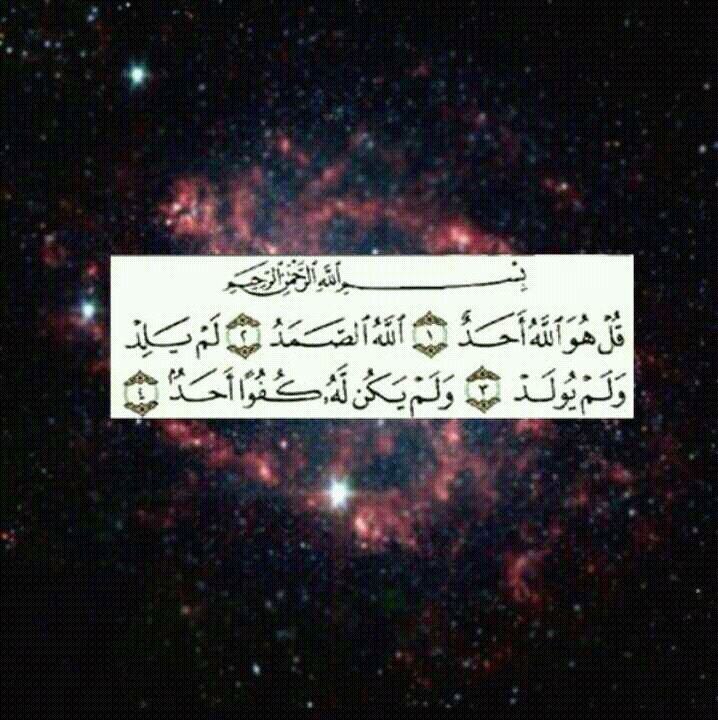 احب صوتك واحبك ع بعضك