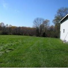 SunnyBranchFarm's profile picture. Diversified vegetable, fruit, and small livestock farm on the eastern edge of Monroe County. Serving up tasty food using sustainable ag practices.
