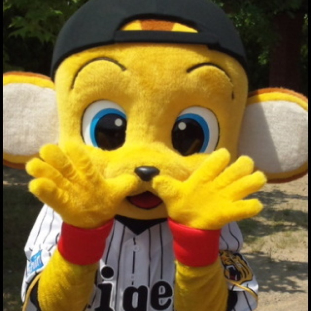 高みな神推し！で〜す。 阪神ファンでーす！ 鳥谷のファンです‼︎