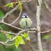 River Rea Nature (@riverreanature) Twitter profile photo River Rea Nature (@riverreanature) Twitter profile photo