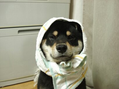 baaaaaaaaashi_e's profile picture. 