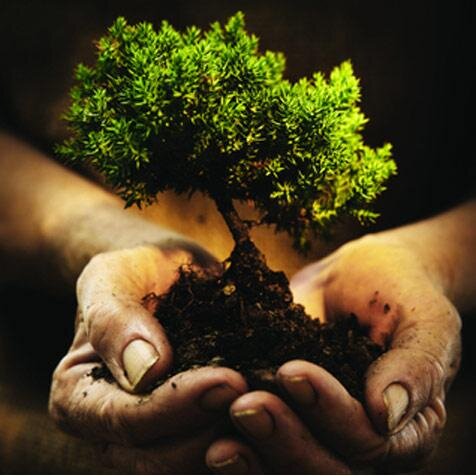 GreenItalianGal's profile picture. Green Italian Gal, wife & mom who wants to help keep this planet healthy for generations to come-- one tweet at a time. Opinions are my own.