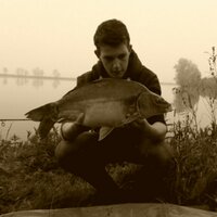 Bjorn (@bjorncomvd) 's Twitter Profile