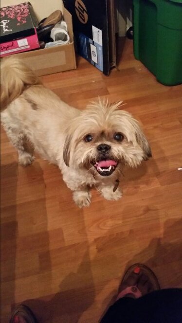 bmorthan2's profile picture. 