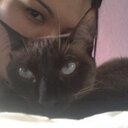 anav (@05018f7fcf7f467) Twitter