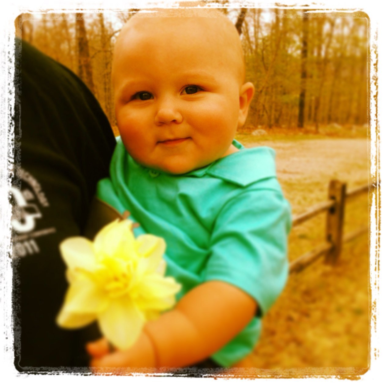 eliholt's profile picture. 