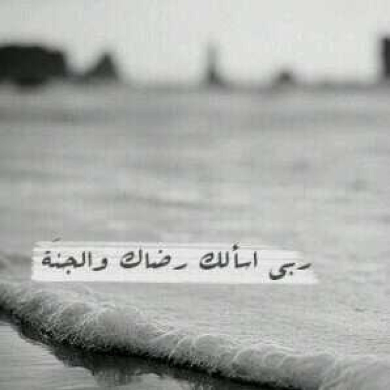 Ksa9Di's profile picture. ليا مرّني طاري رفيقٍ خذاه الموت`يضيع النسـم بـين التناهيت والعبره ”