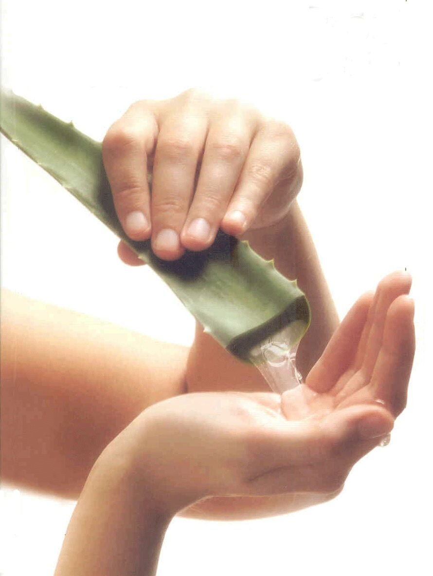 Asesora de Nutrición y Belleza