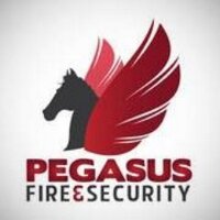 Pegasus F & S (@pegasus_fands) 's Twitter Profile Photo