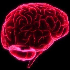NEW (NeuroEthicsWomen) Leaders - 
Cultivating professional skills and scholarly networks for women in the field of neuroethics