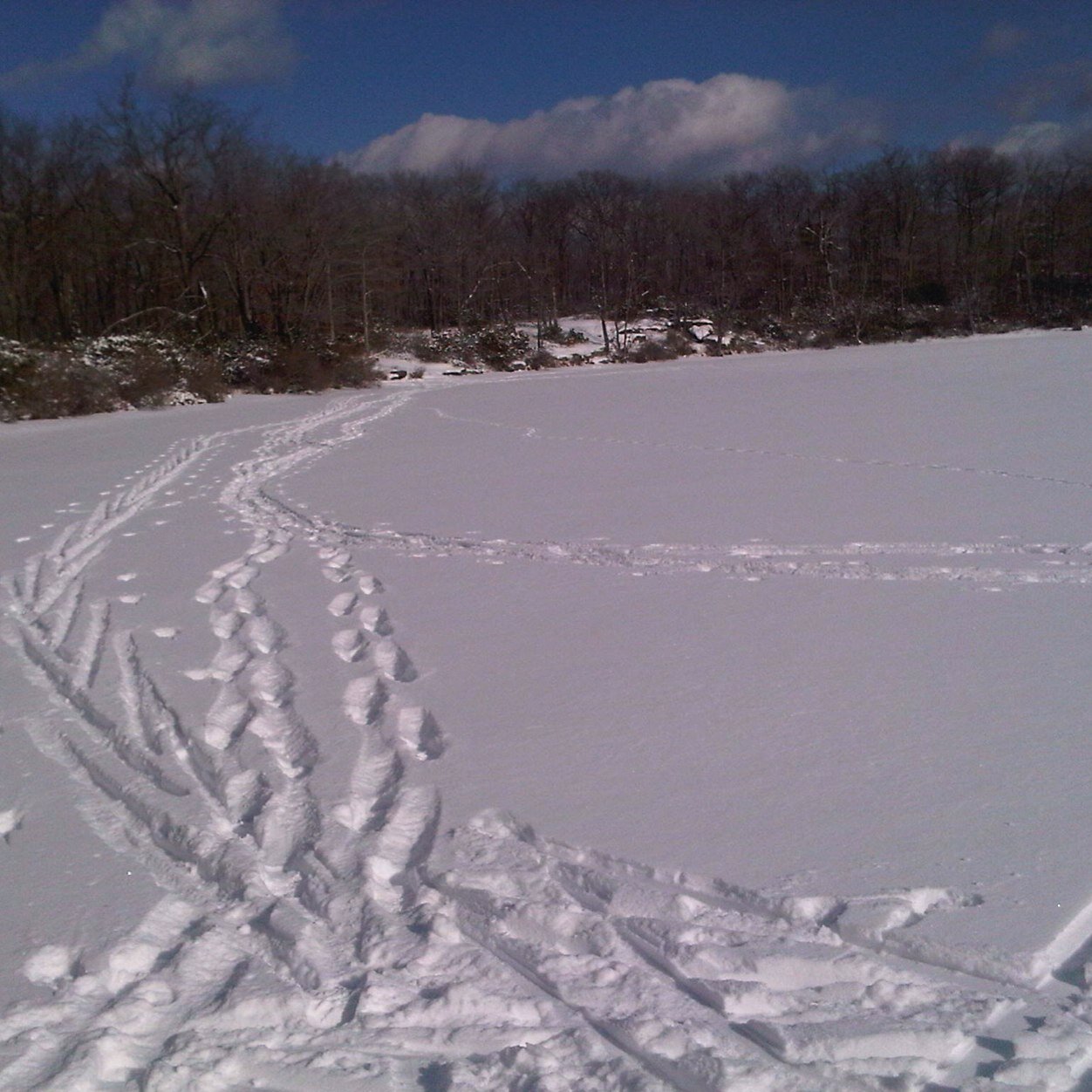 Runduffy1's profile picture. 