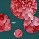 Jodi Clement - @JodiClement1 - Twitter