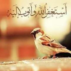 استغفر الله العظيم واتوب اليه
استغفر الله العظيم واتوب اليه
