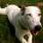 EllenFurlong1's profile image