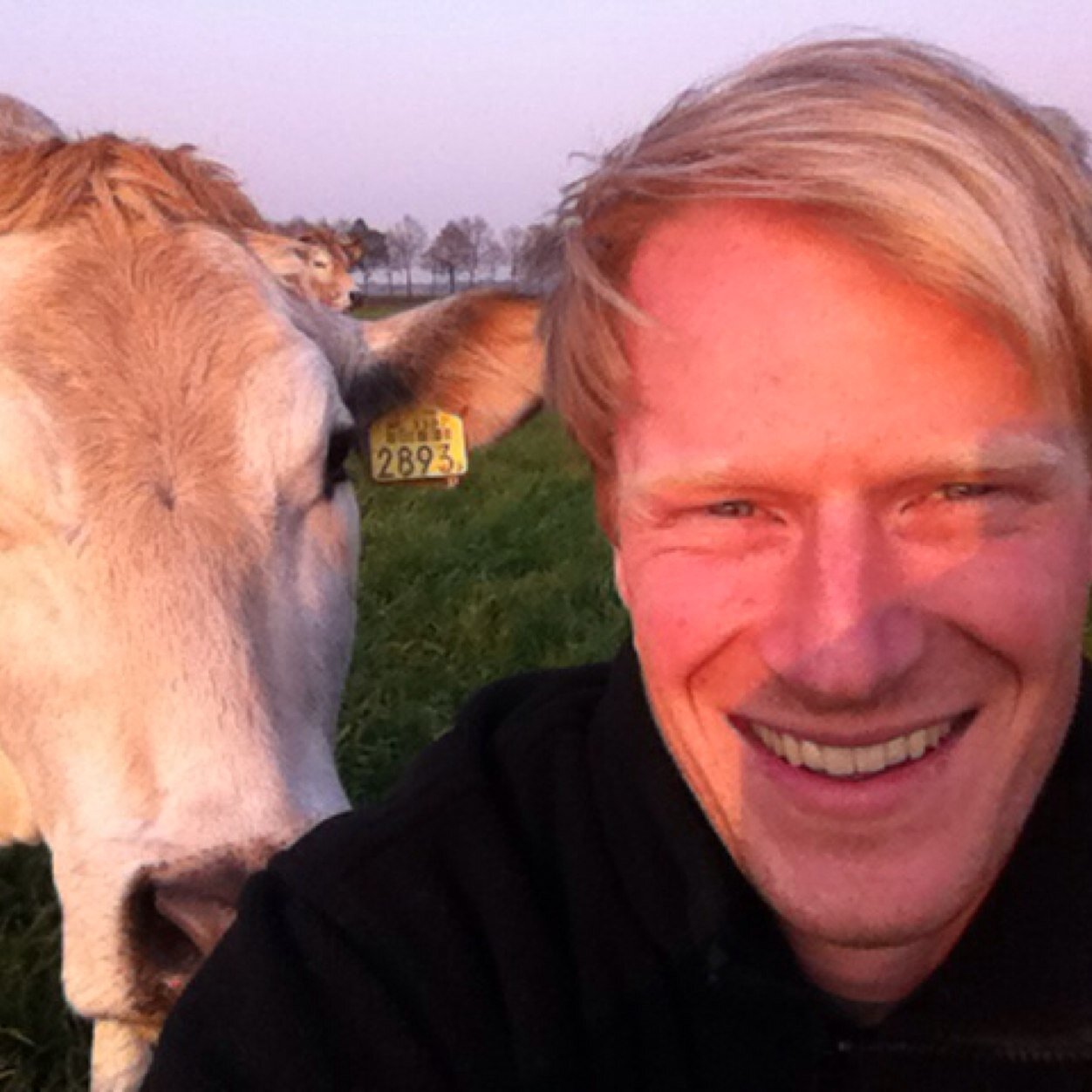 RHKoops's profile picture. @Vleesveebedrijf Koops / Drent / boerenzoon / marathonschaatser (A74) @Skate4air