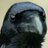 Searsmith's profile image