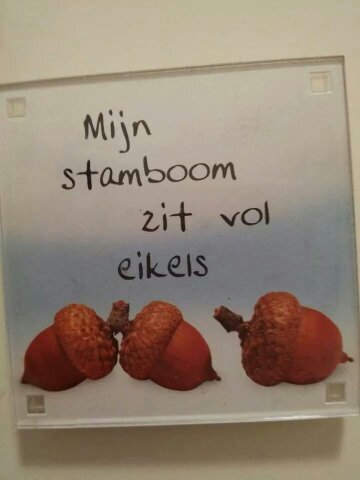 wat wil je weten ? , vraag maar !