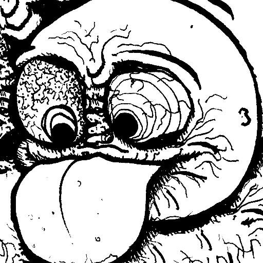 PHATRAVE Profile Picture