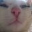 HVighova's profile image